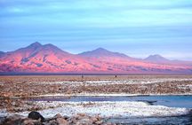 Altiplanic Lagoons & Piedras Rojas Tour from San Pedro de Atacama