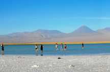 Cejar Lagoon, Tebinquiche Tour and Ojos del Salar from San Pedro de Atacama