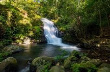 Rincón de la Vieja One day Waterfalls Expedition 