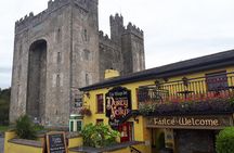 Cliffs of Moher & Bunratty Castle - Private Mini Bus Tour