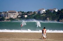Beaches Dolphins And Viewpoints Discovering The Hidden Port By Sea And Land