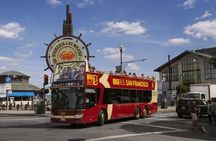 San Francisco: Coastal Redwoods Tour and Hop-on Hop-off Bus Tour