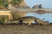 Nature Sun and 5 Beaches in the Magic Town of Mazunte