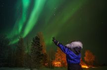 From Saariselkä: Northern lights tour to Lake Inari, incl. dinner