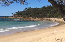 Highlights of the Eurobodalla (half day private tour)