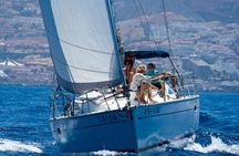 Tenerife 3-Hour Discover Whales and Dolphins