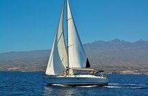 Tenerife 3-Hour Discover Whales and Dolphins
