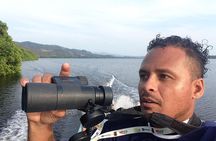 Sun Rising In Manialtepec Lagoon Birdwatching Sunset And Bioluminiscent Lights