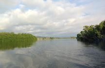 Sun Rising In Manialtepec Lagoon Birdwatching Sunset And Bioluminiscent Lights