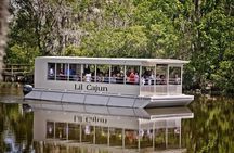 New Orleans Swamp and Bayou Sightseeing Tour with Transportation