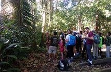 Tambopata National Reserve Tour 4 Days From Cusco