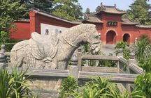 Private Day Tour to Luoyang's Top 3 Must See Attractions 