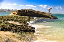 Escape Sydney: Sea Cliff Bridge, Blowhole, Beaches Private Tour 