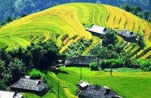 Hill tribe & Rice terraces 2 days 1 night