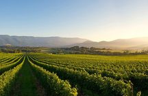 Laid back,Small-Group Yarra Valley Wine Tour: Wine, Gin and Cider