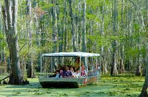 New Orleans Self-Transport Swamp and Bayou Boat Tour