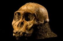 Cradle of Humankind - half Day