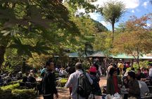 Private tour: Tokyo's Oldest Sake Brewery and riverside walk.