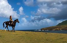 Private Beach Horseback Ride with Sandy Hoofs St. Lucia