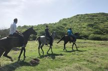 Private Advanced Horseback Beach Ride with Sandy Hoofs St. Lucia