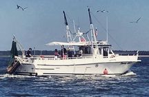 Hilton Head Shrimp Trawling Boat Cruise
