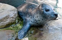 New England Aquarium Admission Ticket