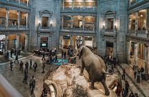 #1 Smithsonian Natural History + American History Museum Tour