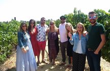 Wine Country Tour from San Francisco