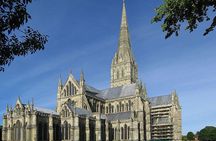 New Forest & Salisbury Day Tour from Southampton