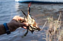 Hilton Head Crabbing Expedition Boat Cruise