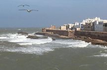 The Charms of Essaouira Mogador and the Argan tree Forests