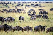 2 Days Masai Mara Private Safari From Nairobi