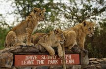 1 Day Tour Nairobi National Park,Giraffe Center&Karen Blixen