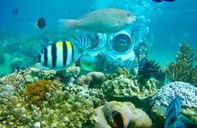 Full-Day Speedboat Guided Tour With Sea Walking Included Lunch And Entrance Fees