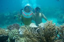 Full-Day Speedboat Guided Tour With Sea Walking Included Lunch And Entrance Fees
