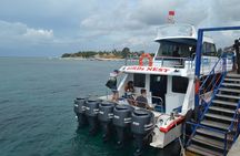 Nusa Penida Tours All Inclusive 