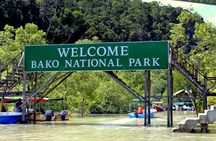 Sarawak Bako National Park Tour : Rainforest Flora & Fauna