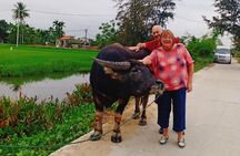Hoi An Countryside Tour with Bamboo Basket Boat Rowing , Buffalo Ride, Farming