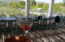 Butterflies Valley & Wine Tasting Experience Private Tour