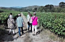 Butterflies Valley & Wine Tasting Experience Private Tour