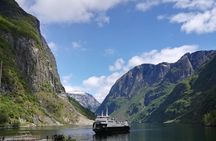 Cruise Special: Private Trip To Canyons And Waterfalls With Flåm Railway 