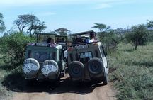 Mikumi national park full day tour