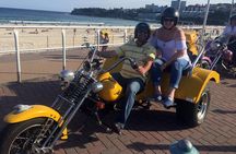 Eastern Sydney Panorama trike tour