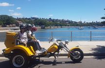 Eastern Sydney Panorama trike tour