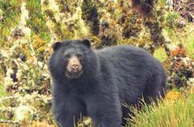 Explore Chingaza Natural Park: A Scenic Adventure from Bogotá