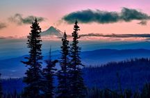 Columbia Gorge Waterfalls & Wineries from Portland: All-Inclusive Afternoon Tour