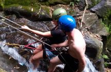 Tijuca National Park Hike and Waterfall Rappelling