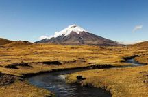 Private Tour 4-Day Trip, Cotopaxi, Quilotoa, Baños with Devil´s Nose Train Ride 