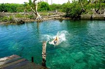 Magic Island Holbox! Experience From Cancun & Playa del Carmen