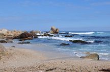 Santiago: Private full day tour Pomaire & Isla Negra, include entrace